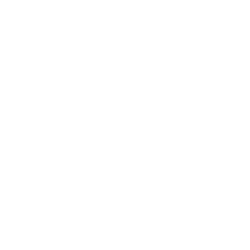 21 Naturals Logo